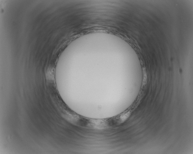 X0000083040713200702020943