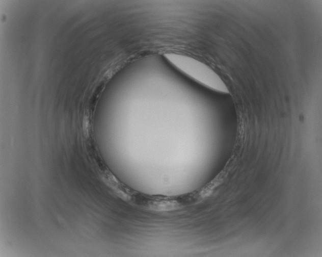 X0000083040716200702020943