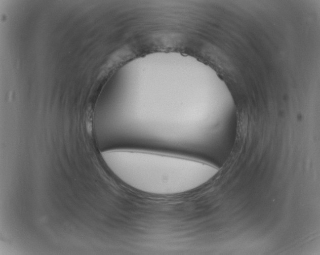 X0000083040719200702020943