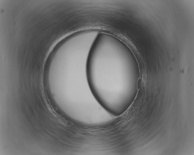 X0000083040724200702020942