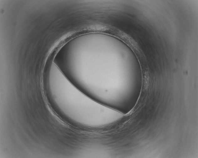 X0000083040726200702020942
