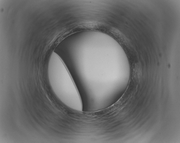 X0000083040739200702020942