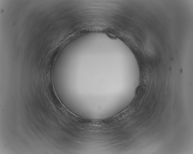 X0000083040743200702020942