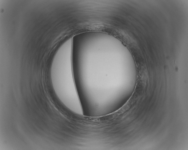 X0000083040744200702020942