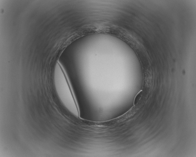 X0000083040748200702020942