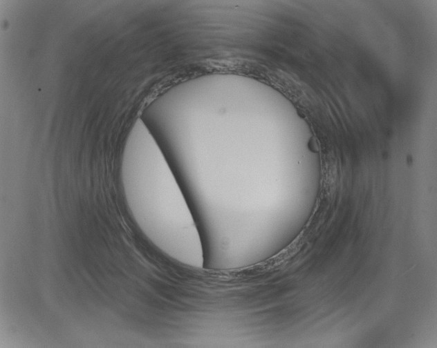 X0000083040749200702020942