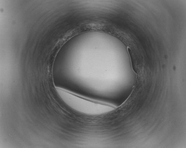 X0000083040752200702020942