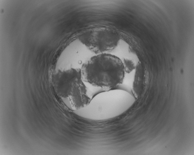 X0000083040753200702020942