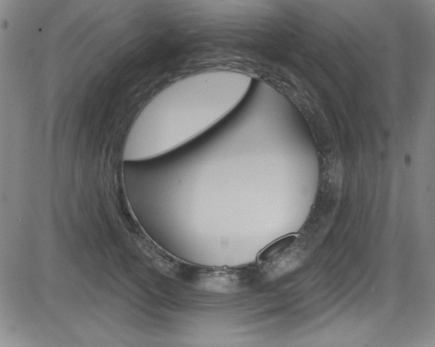 X0000083040754200702020942