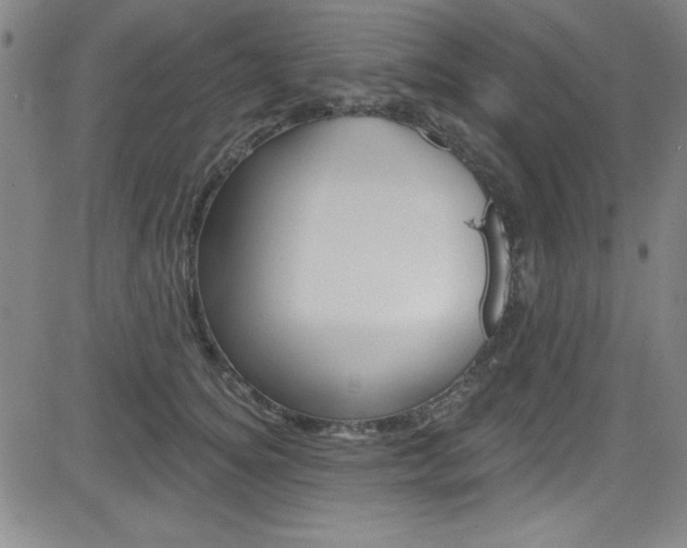 X0000083040756200702020942