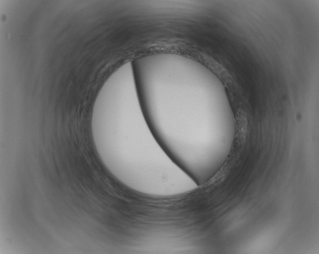 X0000083040758200702020942