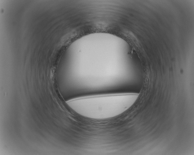 X0000083040759200702020942