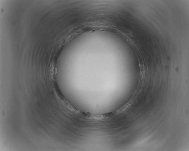 X0000083040767200702020943