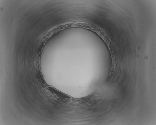 X0000083040773200702020942
