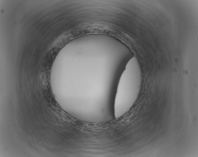 X0000083040774200702020942