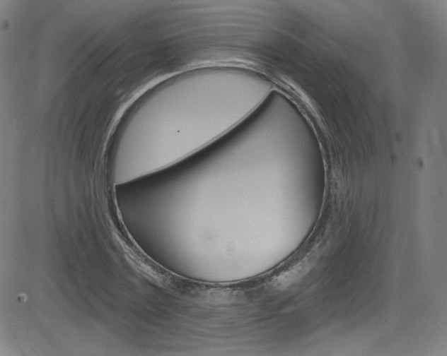 X0000083040779200702020942