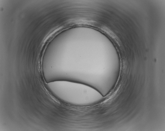 X0000083040782200702020942