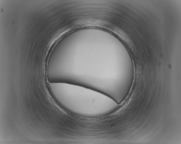 X0000083040790200702020941