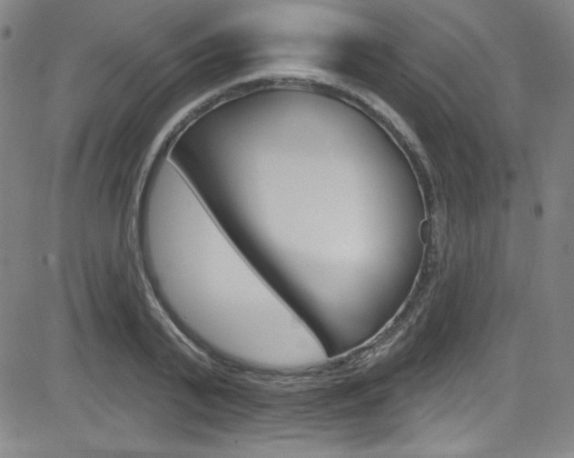 X0000083040791200702020941