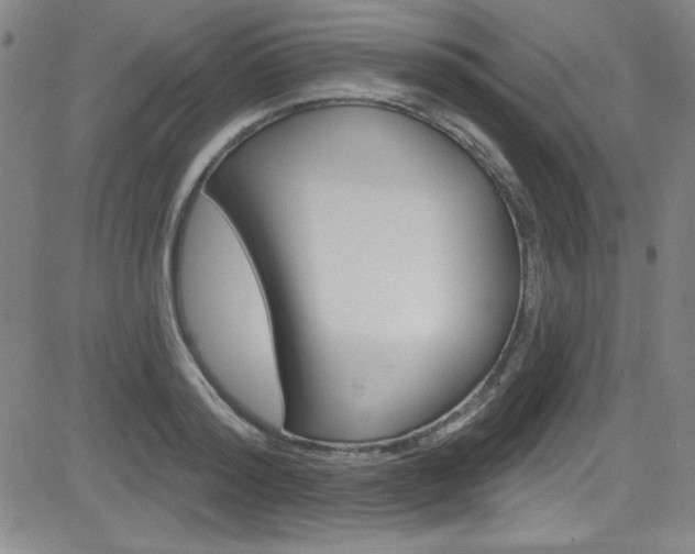 X0000083040796200702020941