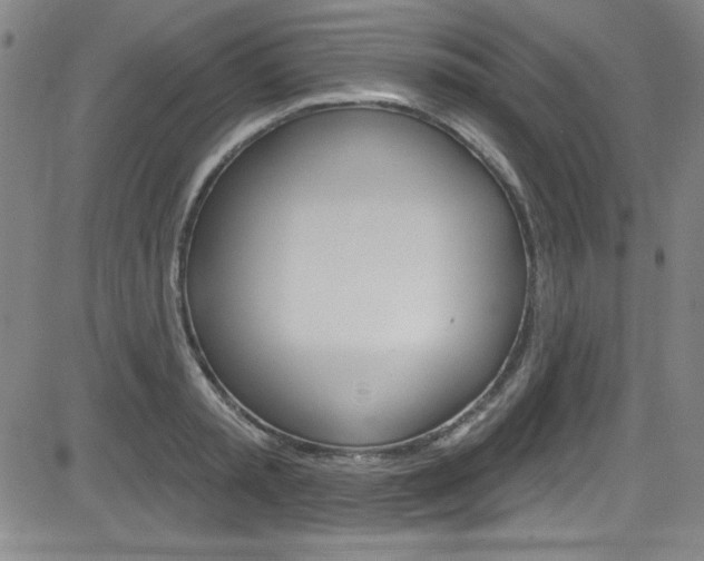 X0000083040797200702020941