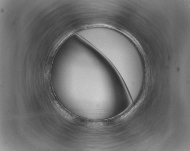 X0000083040801200702020941