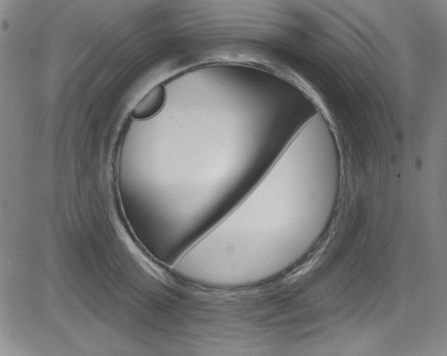 X0000083040803200702020941