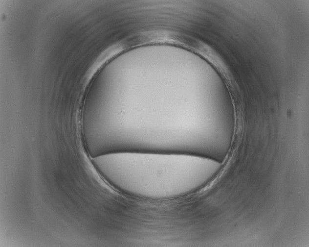 X0000083040806200702020941