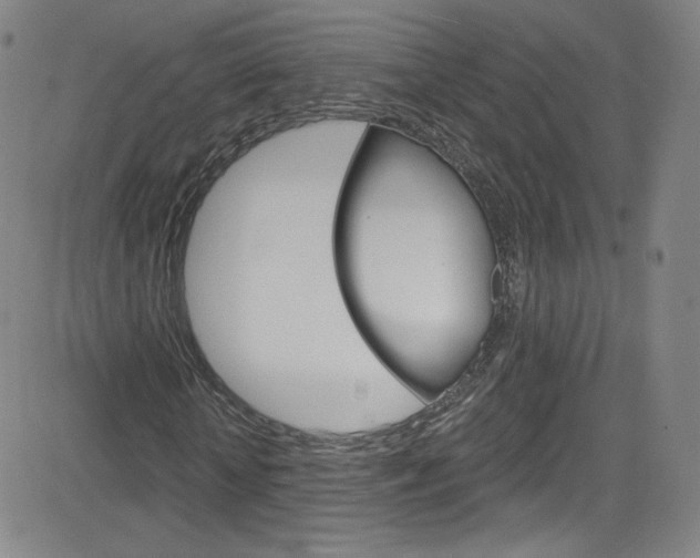 X0000083040818200702020940
