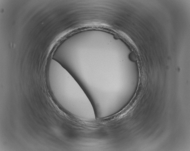 X0000083040831200702020940