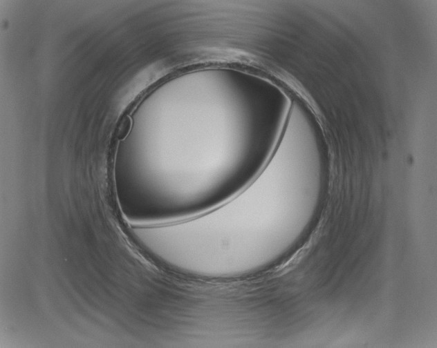 X0000083040834200702020940