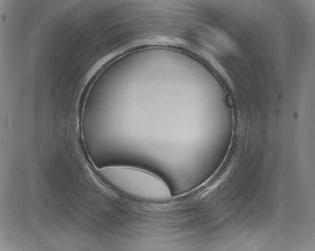 X0000083040837200702020941