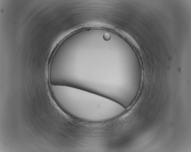 X0000083040839200702020941