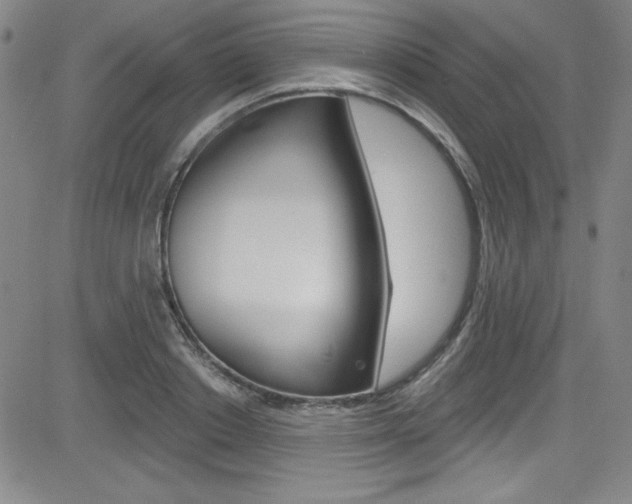 X0000083040842200702020941