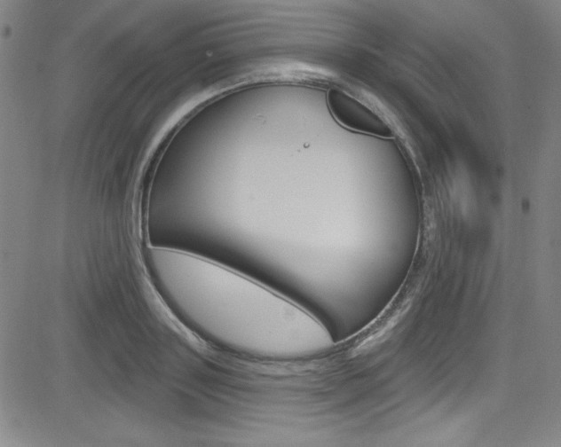 X0000083040843200702020941