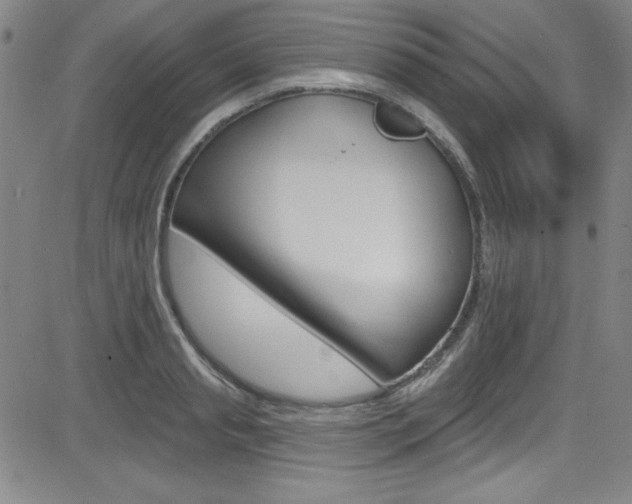 X0000083040845200702020941
