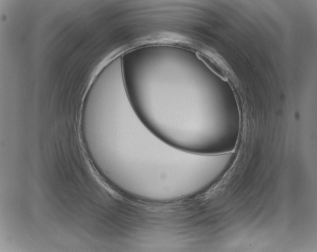 X0000083040850200702020941