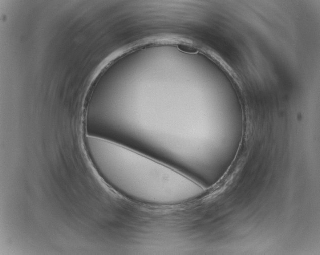 X0000083040853200702020941
