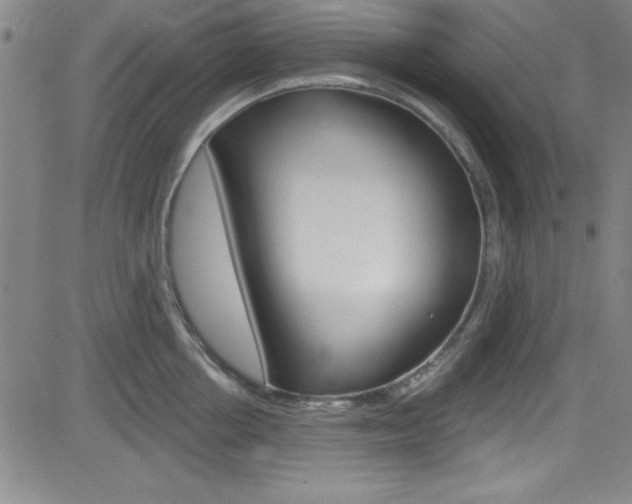 X0000083040858200702020941
