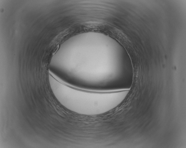 X0000083040868200702020940