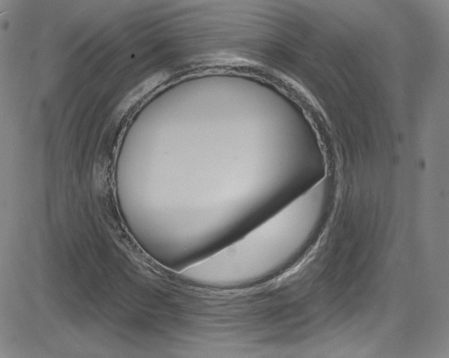 X0000083040873200702020940