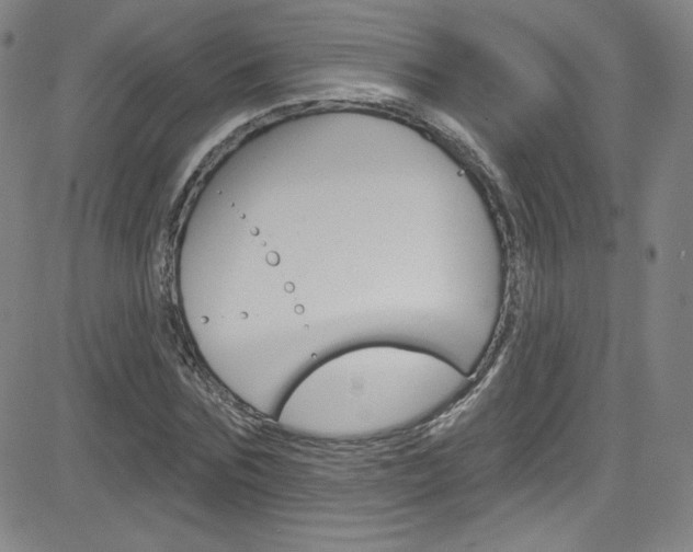 X0000083040875200702020940