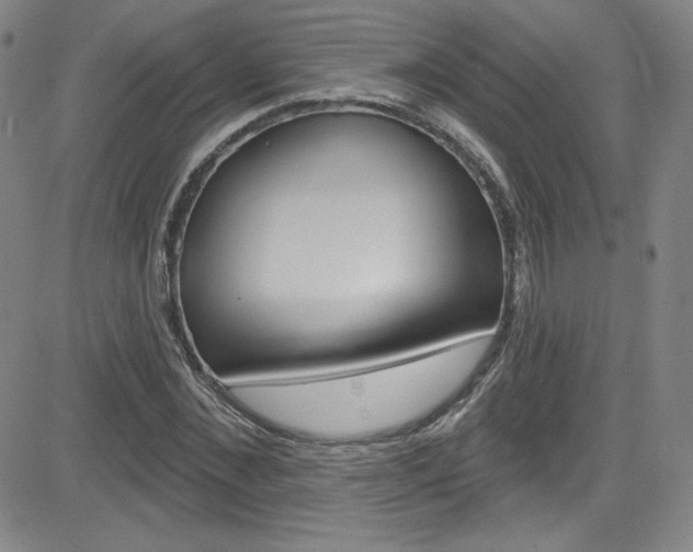 X0000083040876200702020940