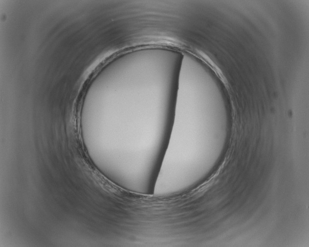 X0000083040883200702020940