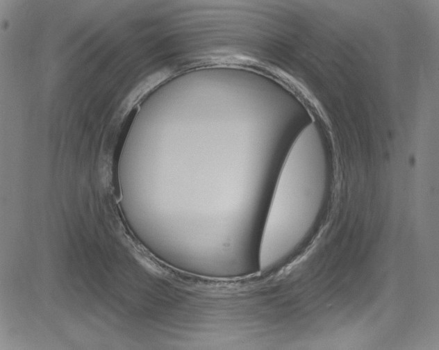 X0000083040889200702020940