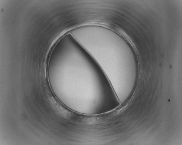 X0000083040892200702020940