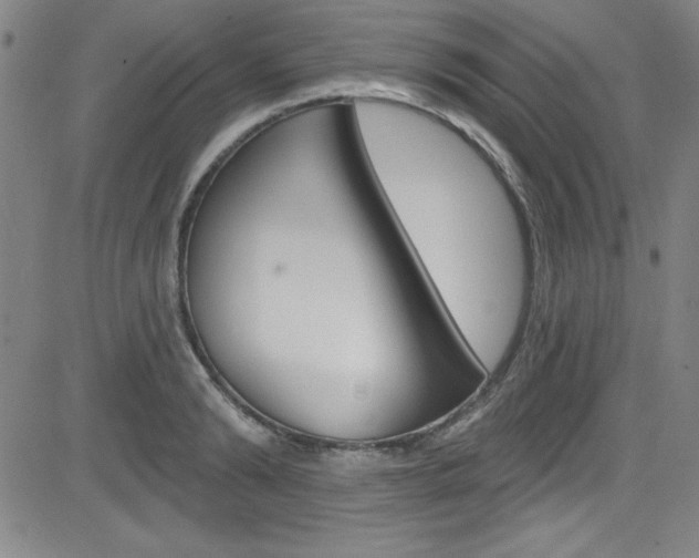 X0000083040894200702020940