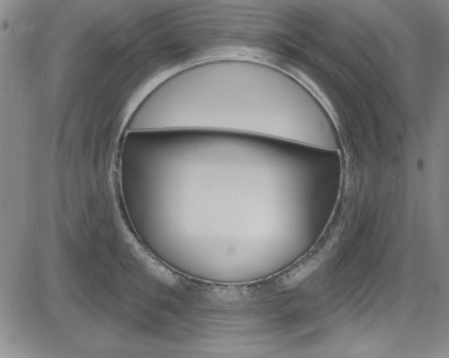 X0000083040901200702020940