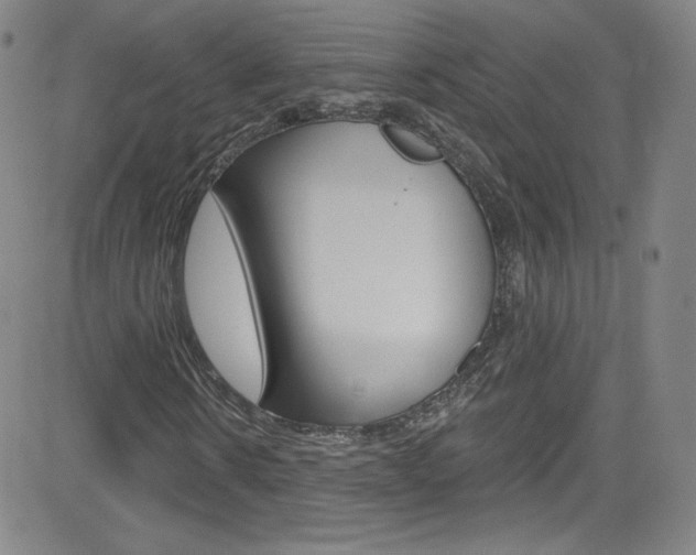X0000083040914200702020939