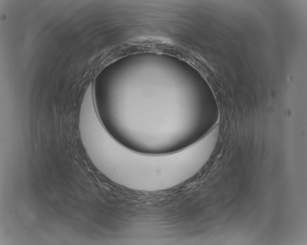 X0000083040965200702020939